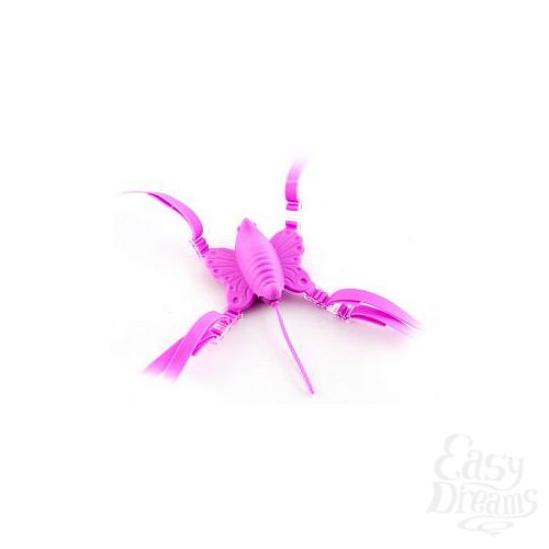  2       Venus Butterfly