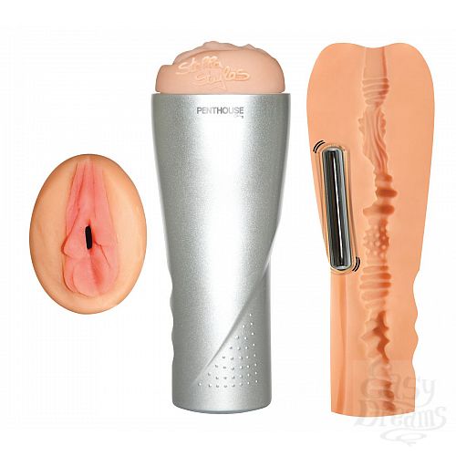 ���������� 1:  �����������-������ � ��������� Penthouse Deluxe Stella Styles