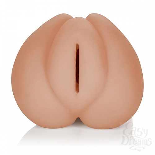 ���������� 3  �����������-������ VIVID RAW COCK TEASE 