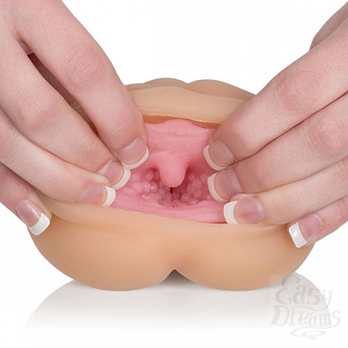 ���������� 4  �����������-������ VIVID RAW COCK TEASE 