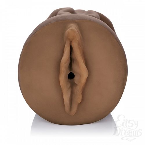 ���������� 3  ������ �����������-������ VIVID RAW FUCK BUDDY 