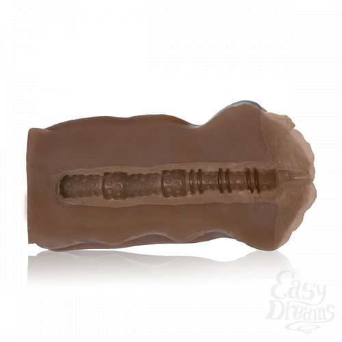 ���������� 5  ������ �����������-������ VIVID RAW FUCK BUDDY 