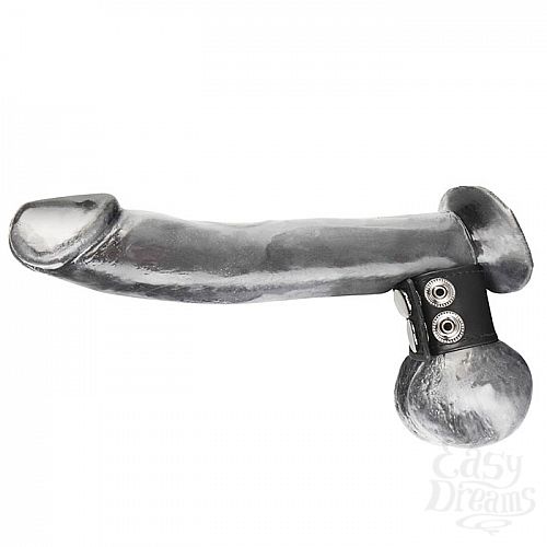 Фотография 3  Хомут-утяжка для мошонки из искусственной кожи на клепках SNAP BALL STRETCHER