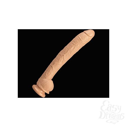 ���������� 1:  ������� ������������� � ��������