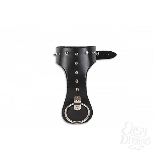 ���������� 1:  ���������� ������� � �������