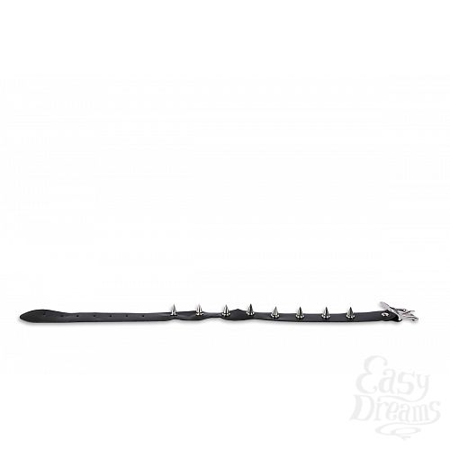 ���������� 3  ����� ������� � ������