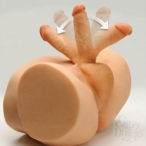 ���������� 3  ������������ ����������� � ��������������� � ���������