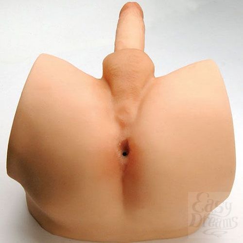 ���������� 4  ������������ ����������� � ��������������� � ���������