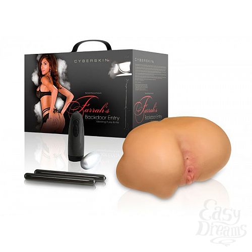 ���������� 1:  �����������-�������� ������ + ���� � ��������� � ����������