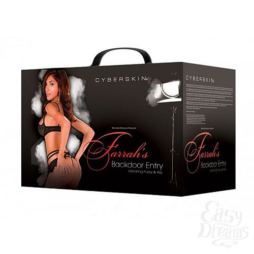 ���������� 5  �����������-�������� ������ + ���� � ��������� � ����������