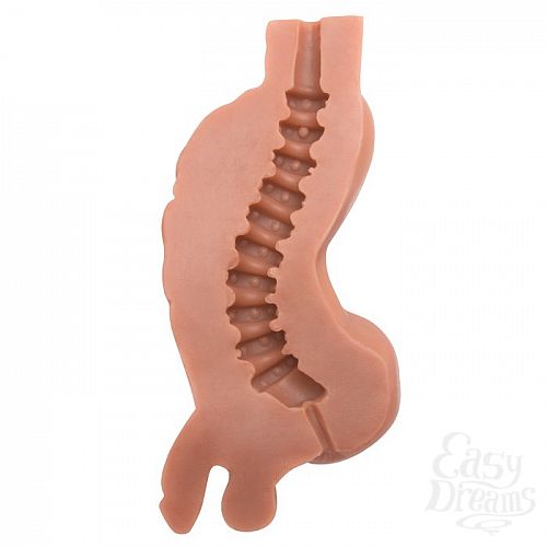 ���������� 2  ������� ����-����������� Virtual Boyfriend - 17 ��.