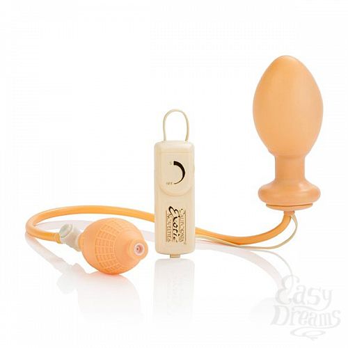 ���������� 3  �������� �������� ������ ANAL EXPLORER - 12 ��.