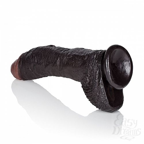  5    SEAN MICHAELS - 19 .