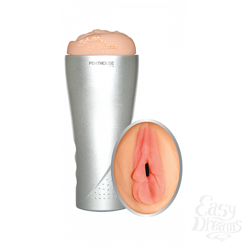 ���������� 2  �����������-������ Topco Sales Penth�use Stella Styles