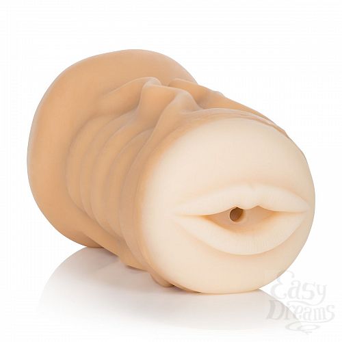 ���������� 2  ������������ ����������� Vivid Raw Fuck   Suck - ������ � �����