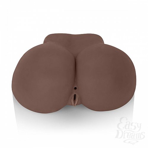 ���������� 3  ������������ ����� � ������ Vivid Raw Baby Got Back � ��������� 