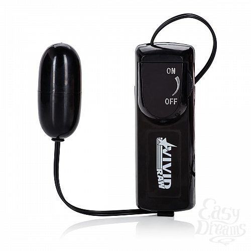 ���������� 4  ������������ ����� � ������ Vivid Raw Baby Got Back � ��������� 