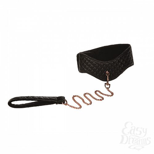 ���������� 1:  ������� � �������� Entice Posture Collar with Leash 