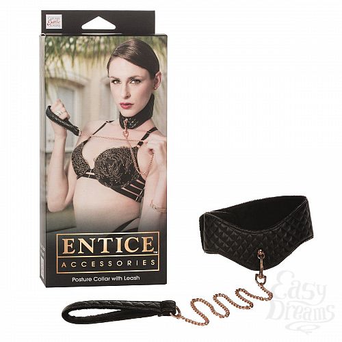 ���������� 2  ������� � �������� Entice Posture Collar with Leash 