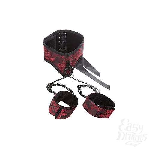 ���������� 2  ������� � ��������� Scandal Posture Collar with Cuffs