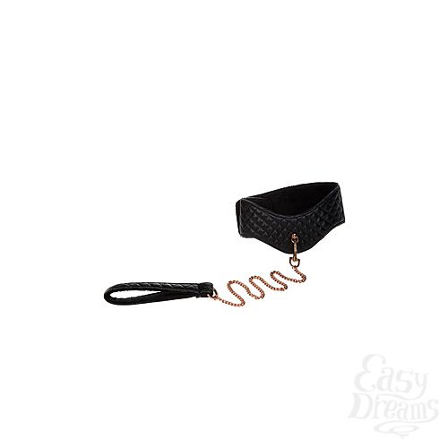  2       Entice Posture Collar with Leash   