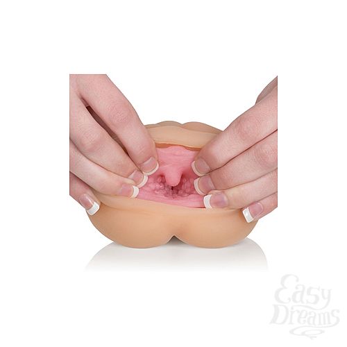 ���������� 2  ����������� ������ Vivid� Raw� Cock Tease � ��������� ��������