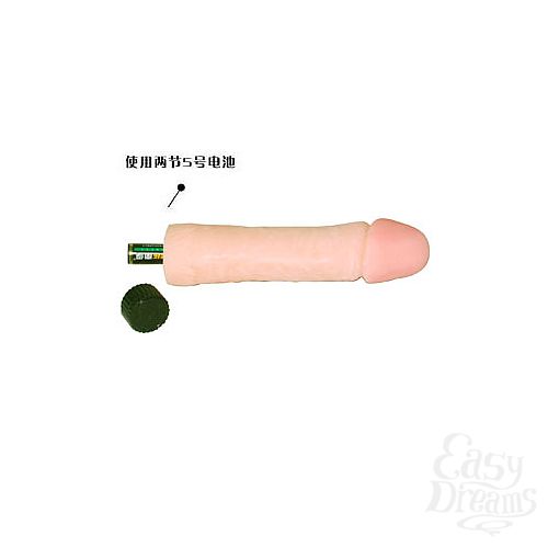 ���������� 2  ������������ �������� ��������� ����� - 25.5 ��.