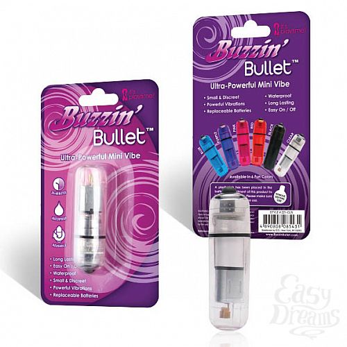 ���������� 1:  ���������� ����������������� ���������