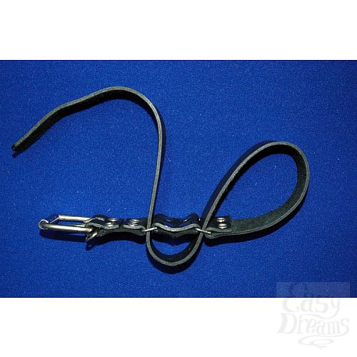 ���������� 1:  ׸���� �������� �������� ��� ���  ������ � ������� 