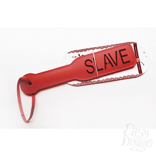  1:    Slave
