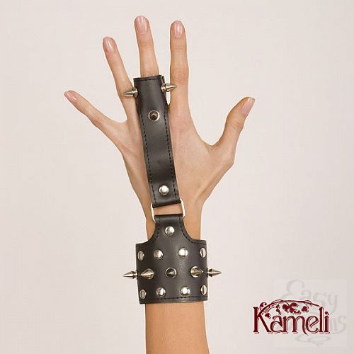 ���������� 1:  �������  � ������������ �� �����