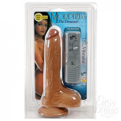 ���������� 1:  ������������ �������� MORPHEUS DREAMER - 19 ��.