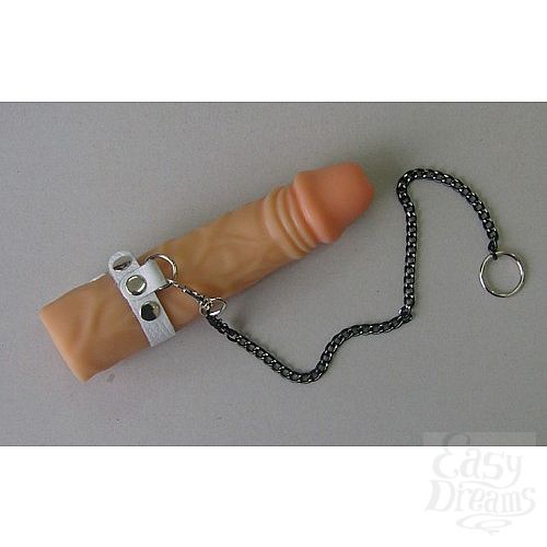 ���������� 1:  ����� ������� �� �����