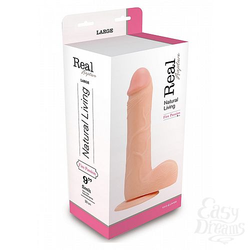 ���������� 2  �������������-��������� Dildo - 25.5 ��.