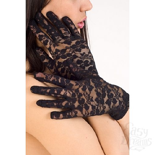 ���������� 3  �������� ��������� �������� (Erolanta 9319052)