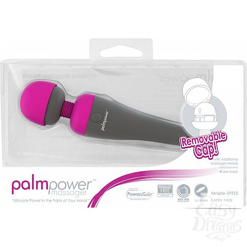 ���������� 1:  ������������� PalmPower Massager - 19,2 ��.