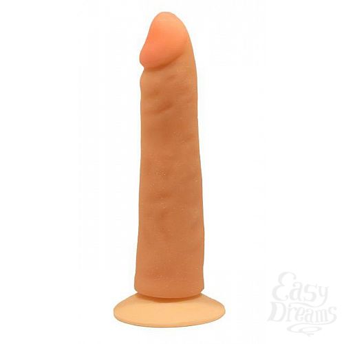 ���������� 1:  ������������ �������� ������������� - 18 ��.