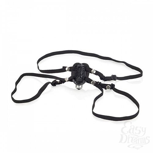  1:     Little Black Heart