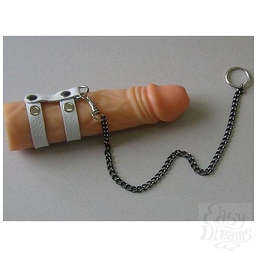 ���������� 1:  ����� ������� �� ����� � ����� ���������