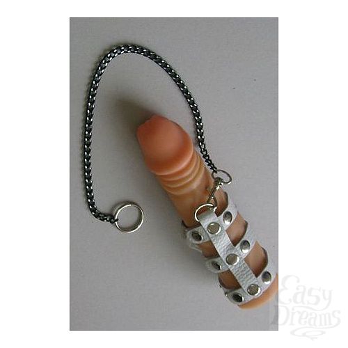 ���������� 1:  ����� ������� ������� �� ����� �� ������� 