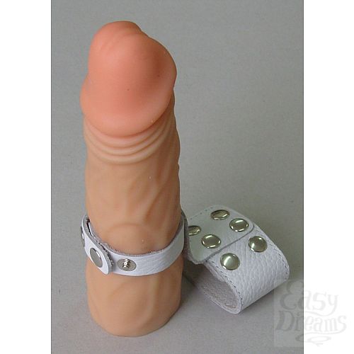 ���������� 1:  ����� ������� ������� �� ����� 