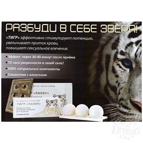 ���������� 1:  ���� �������� ��� ������ 6 �������� 23507T