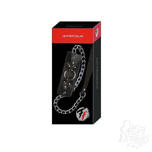  2  ׸   Leather Collar   