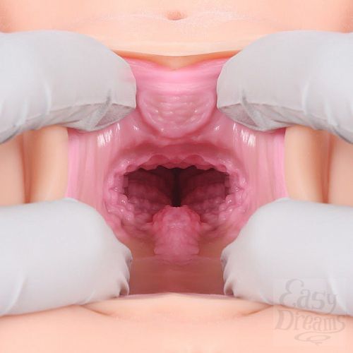 ���������� 7  ����������� VICTORIA � ������� � ������ ��� �������� 