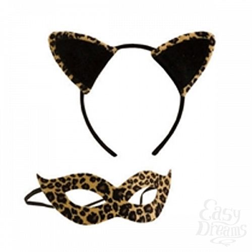 ���������� 1:  ����� ����� (����� + ����).