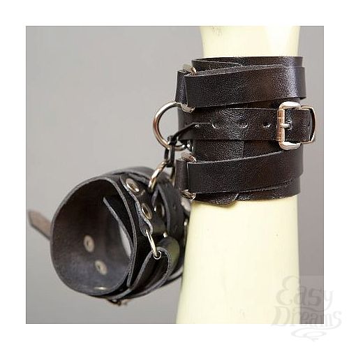 ���������� 1:  ������ ������� �����������