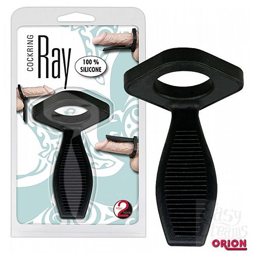 ���������� 1:  ׸���� ������ ��� ������ Rochen