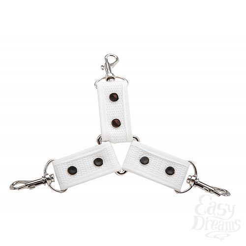  1:     Asylum Patient Hog Tie