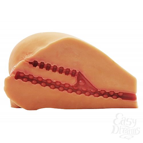 ���������� 3  �������������� ����������� � ��������� Wildfire^ Celebrity Series Farrah s Backdoor Entry 6x, 6s Vibrating Pussy & Ass