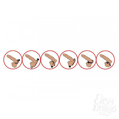 ���������� 2  ����������� ����� � ��������� Adam Male Toys  Cock Rope